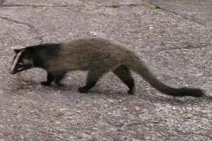 雨漏れ調査で…